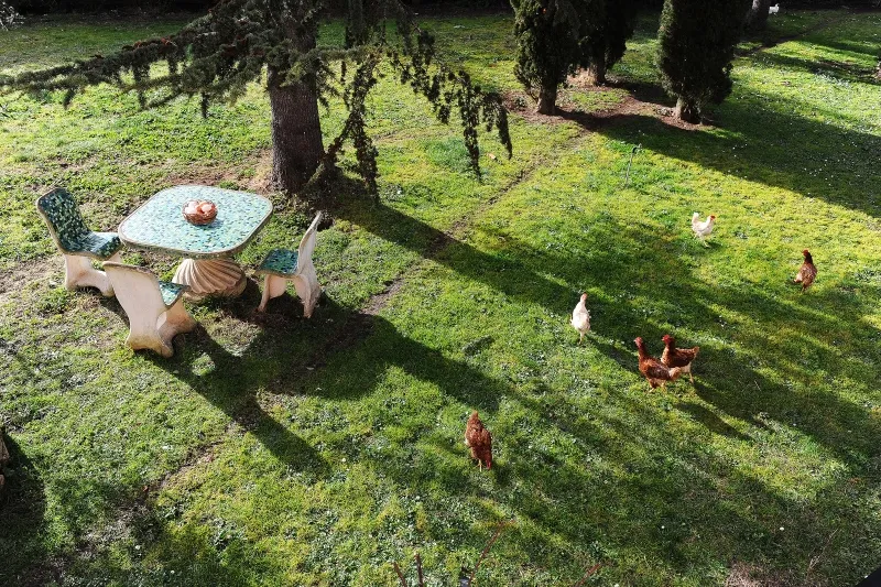 Come raggiungere il centro di Roma dal nostro B&B